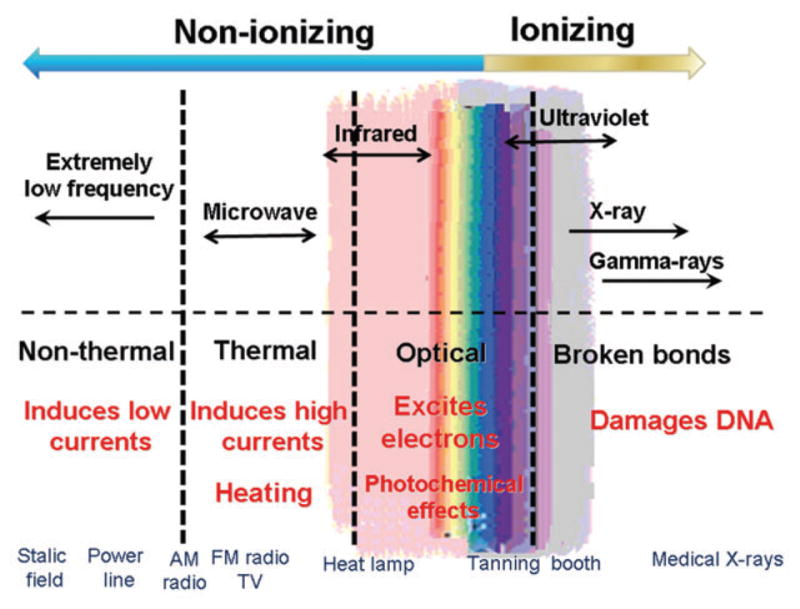 Benefits of Far Infrared Ray (FIR)