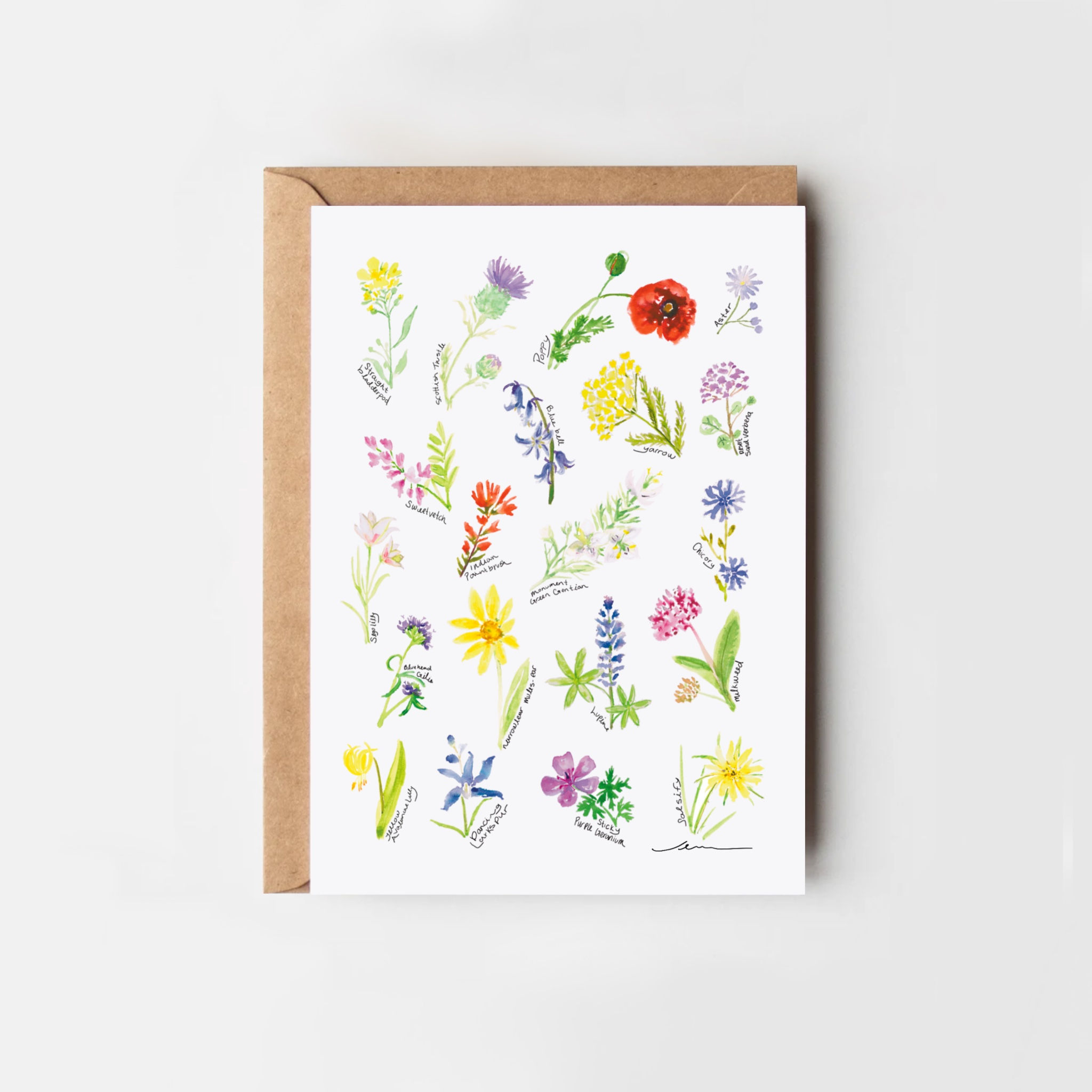 Wasatch Wildflowers Greeting Card