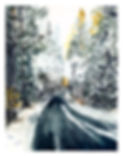 Untitled_Artwork 4.jpg