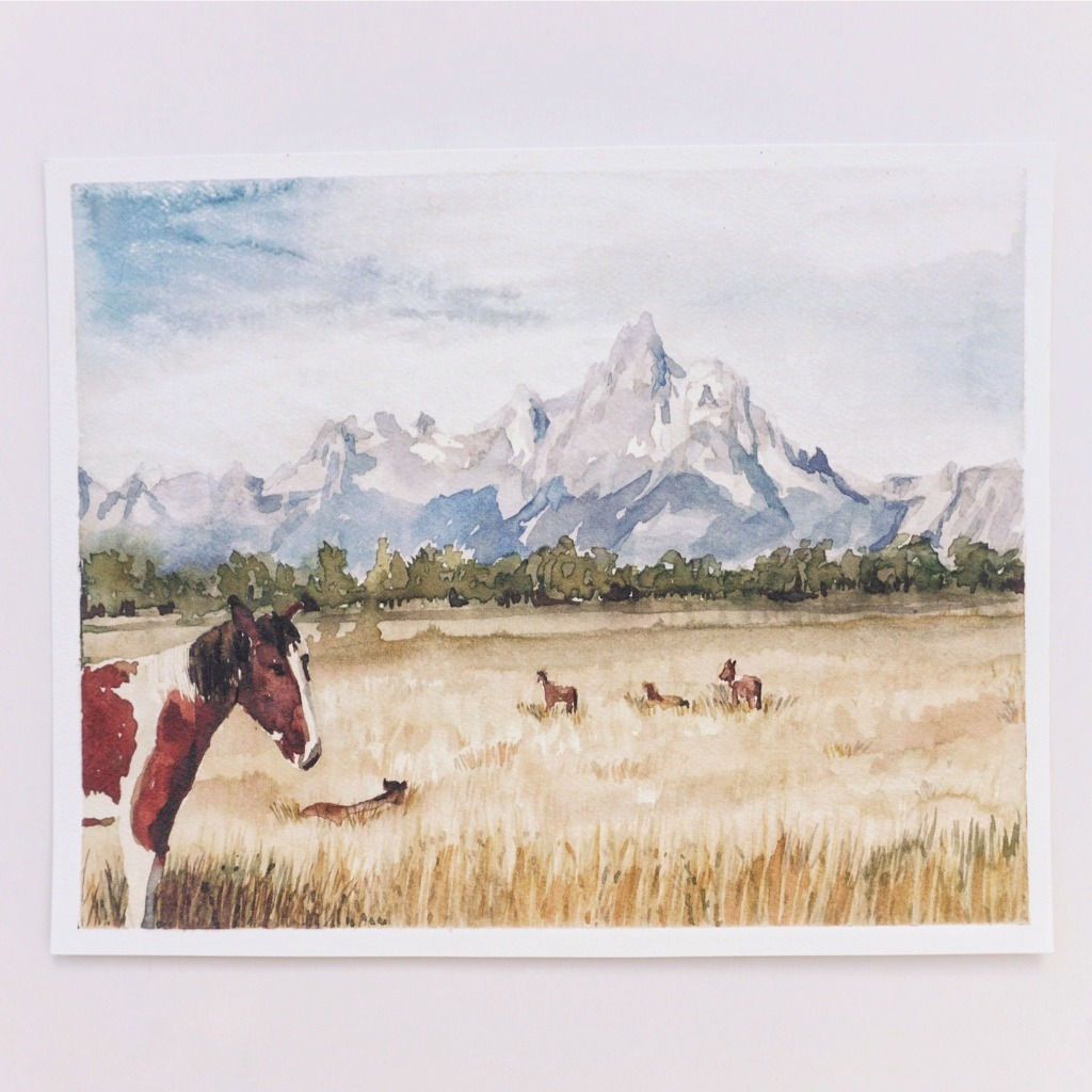 Horses & Tetons