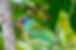 unnamed_edited.jpg