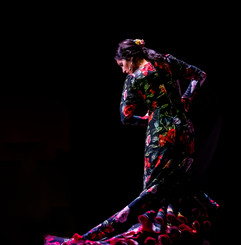flamenco 9.jpeg