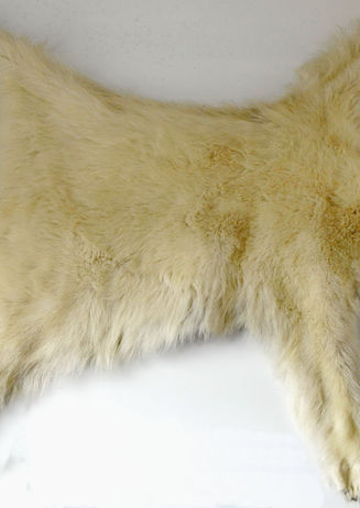 ROTARY 08.03.2023 008 .JPG