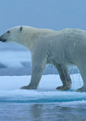 ROTARY 08.03.2023 070 .jpg