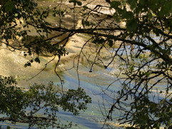 MCB Photographe du mois 202227.jpg