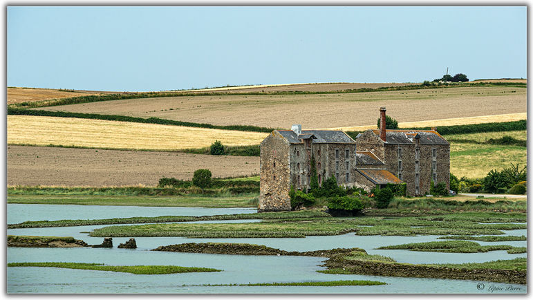 © PL - Moulin de la Rance - DSC_0149 (2021) copie.jpg