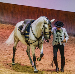 dressage jerez 1.jpeg