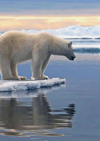 ROTARY 08.03.2023 004 .jpg