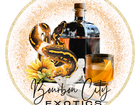 Shipping Day Expectations