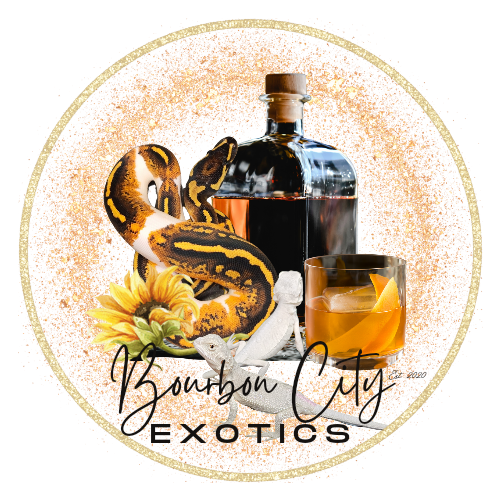 Writer: Courtney Roten