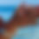 Thumbnail: Isla Contoy Bracelet - I.M. Signature Crafts (20)
