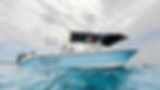 Thumbnail: Private Boat Rental - '29 FT Edge Water - Deposit Only