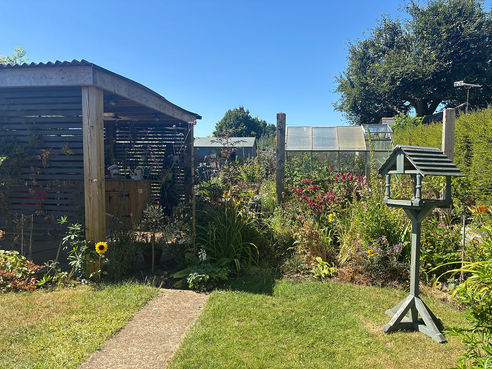 Beginner Garden Course for Adults
