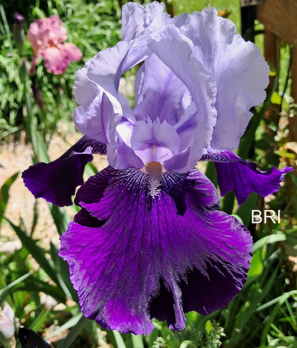 Change Of Millennium