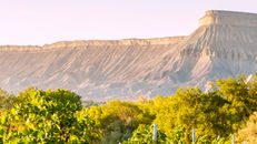 Visiting Palisade, Colorado: What to Know Before Visiting Colorado’s Wine Country