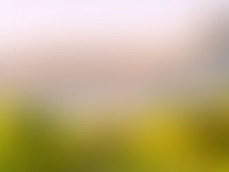 Visiting Palisade, Colorado: What to Know Before Visiting Colorado’s Wine Country