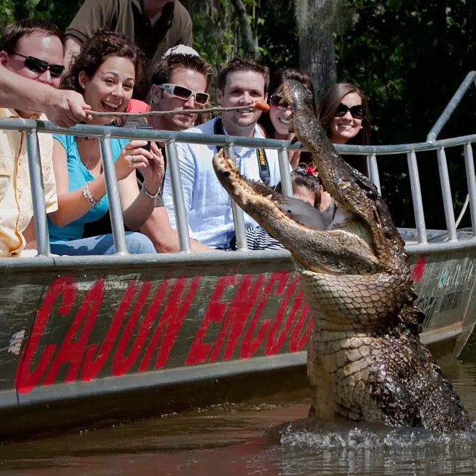 New Orleans swamp tour