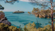 The Ultimate Guide to Booking the Perfect Cruise