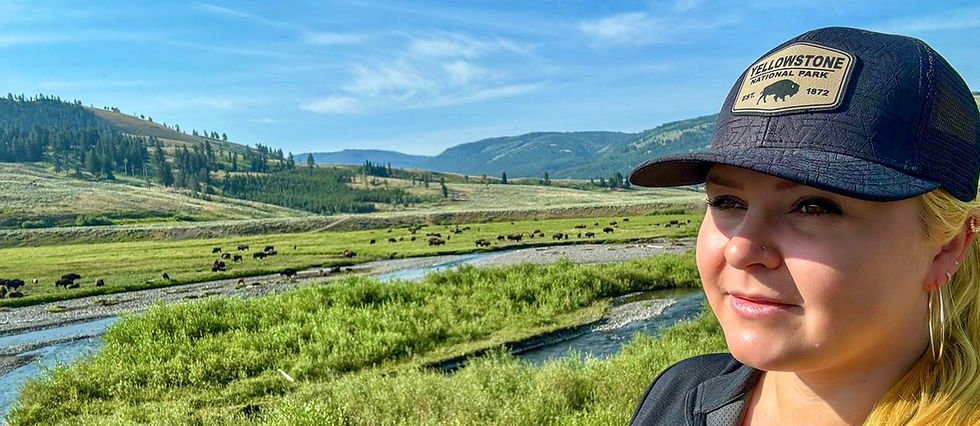 yellowstone national park