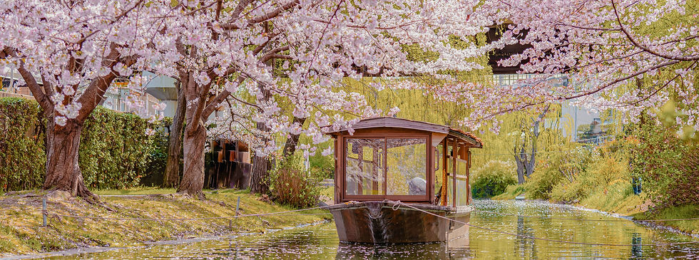 cruise japan