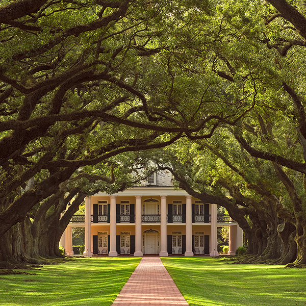 Oak Alley outside New Orleans