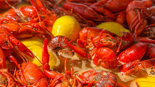 crawfish boil in New Orleans