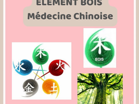 L'ÉLÉMENT BOIS