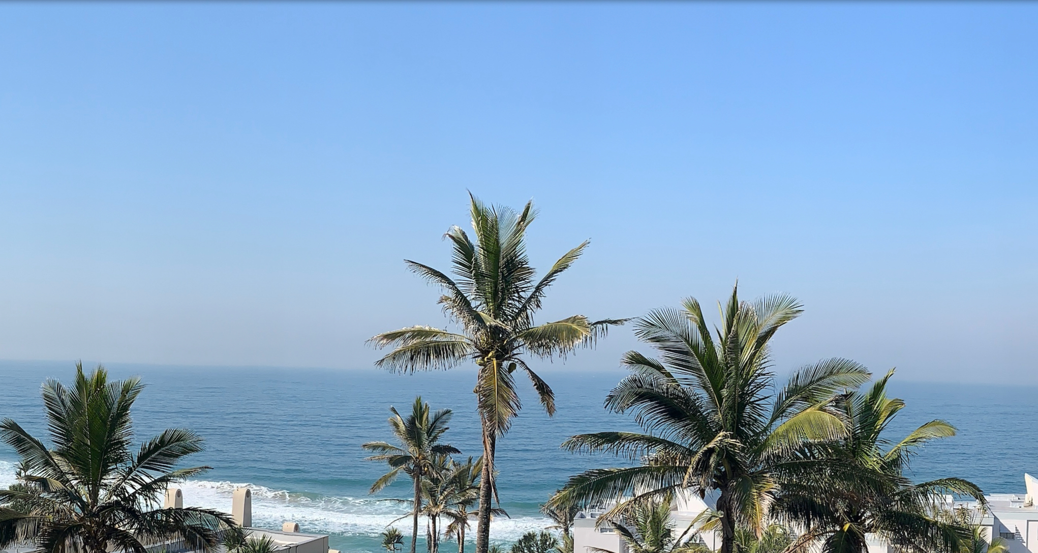 View 97