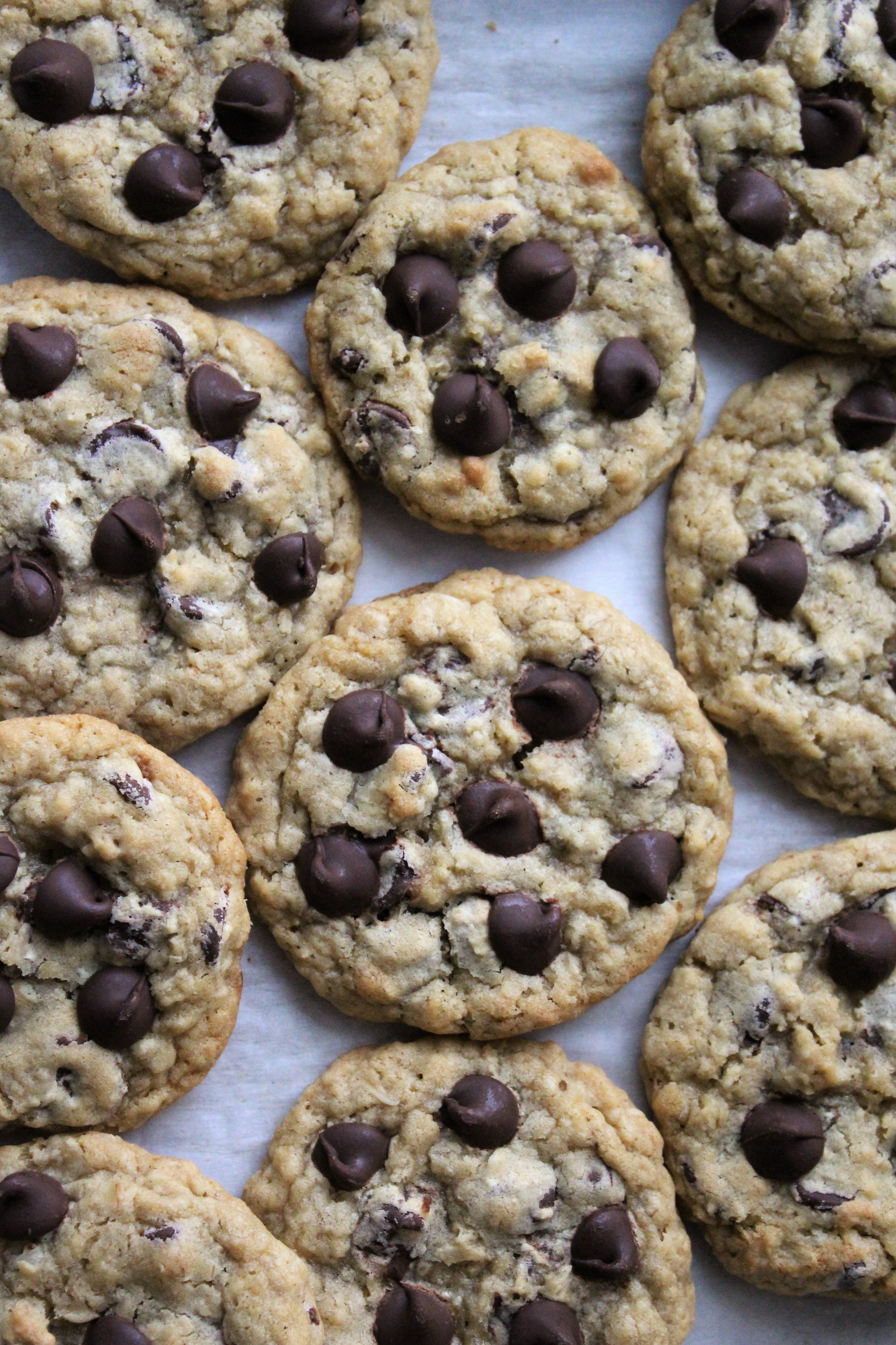 potbelly chocolate chip oatmeal cookie recipe