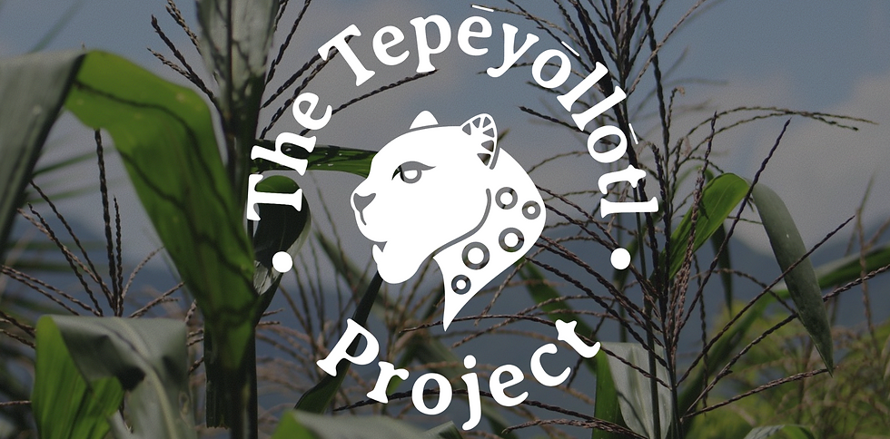 Color and Connect: Support The Tepēyōllōtl Project