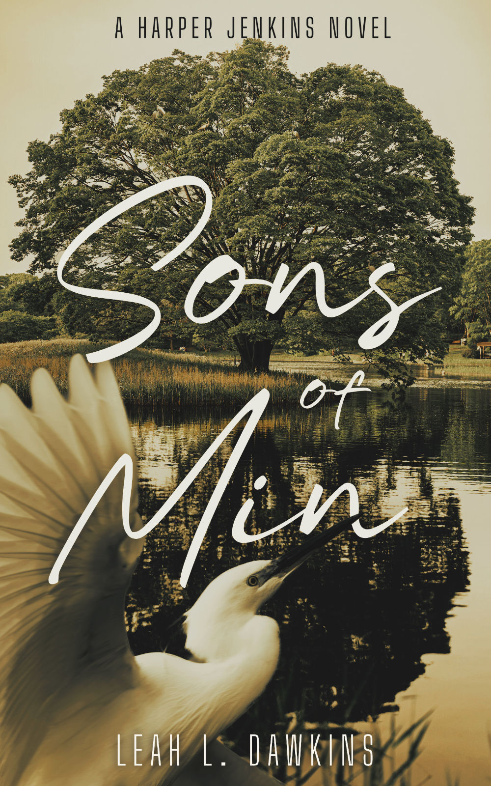 Sons Of Min