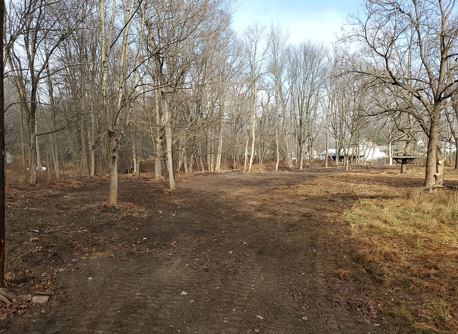 Cleared land in the woods.