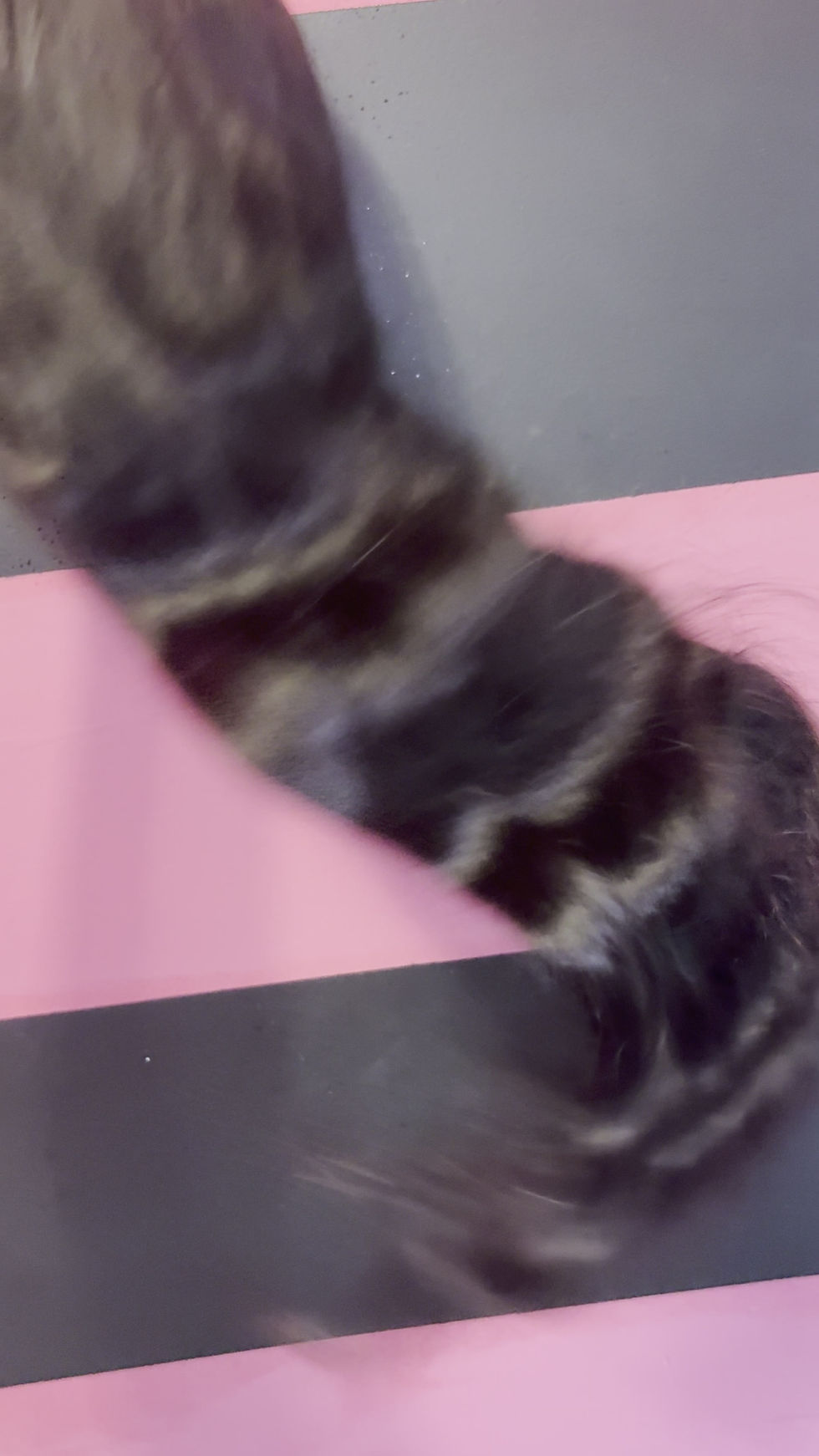 Thumbnail: Malaysian 13x4 HD On Hand Frontal Wigs