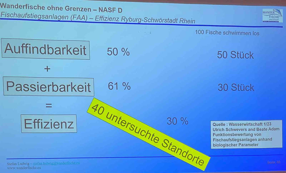 Effizienz von Fischaufstiegsanlagen