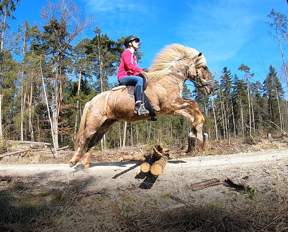 5cd78cc1-0305-49da-81de-a1488fe70ec3