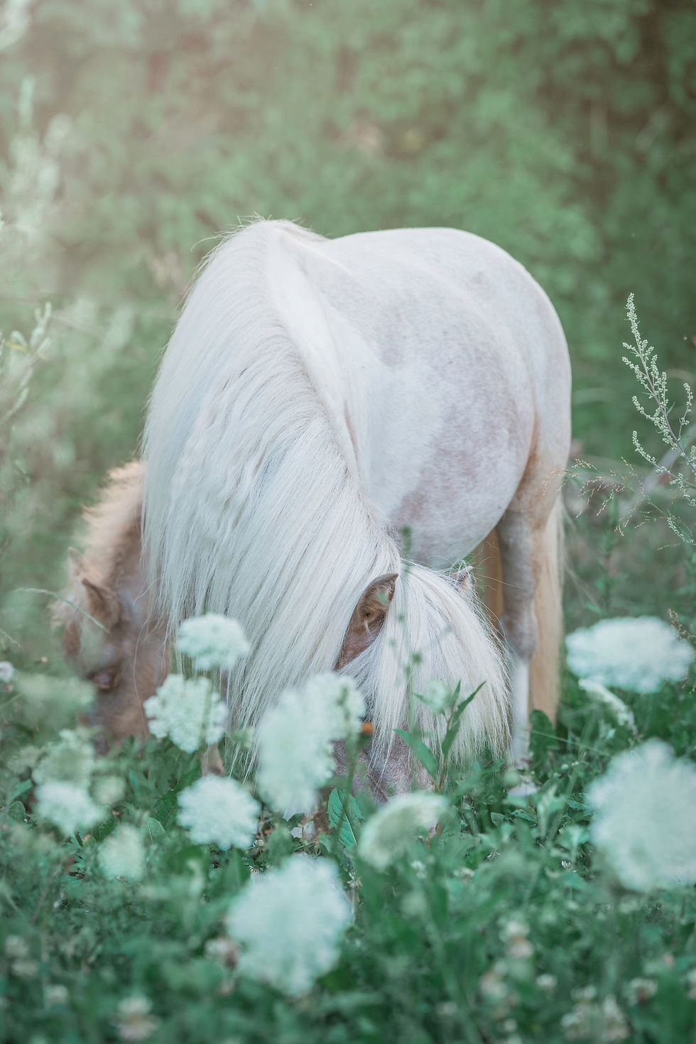 DSC06440-Verbessert-RR-Bearbeitet