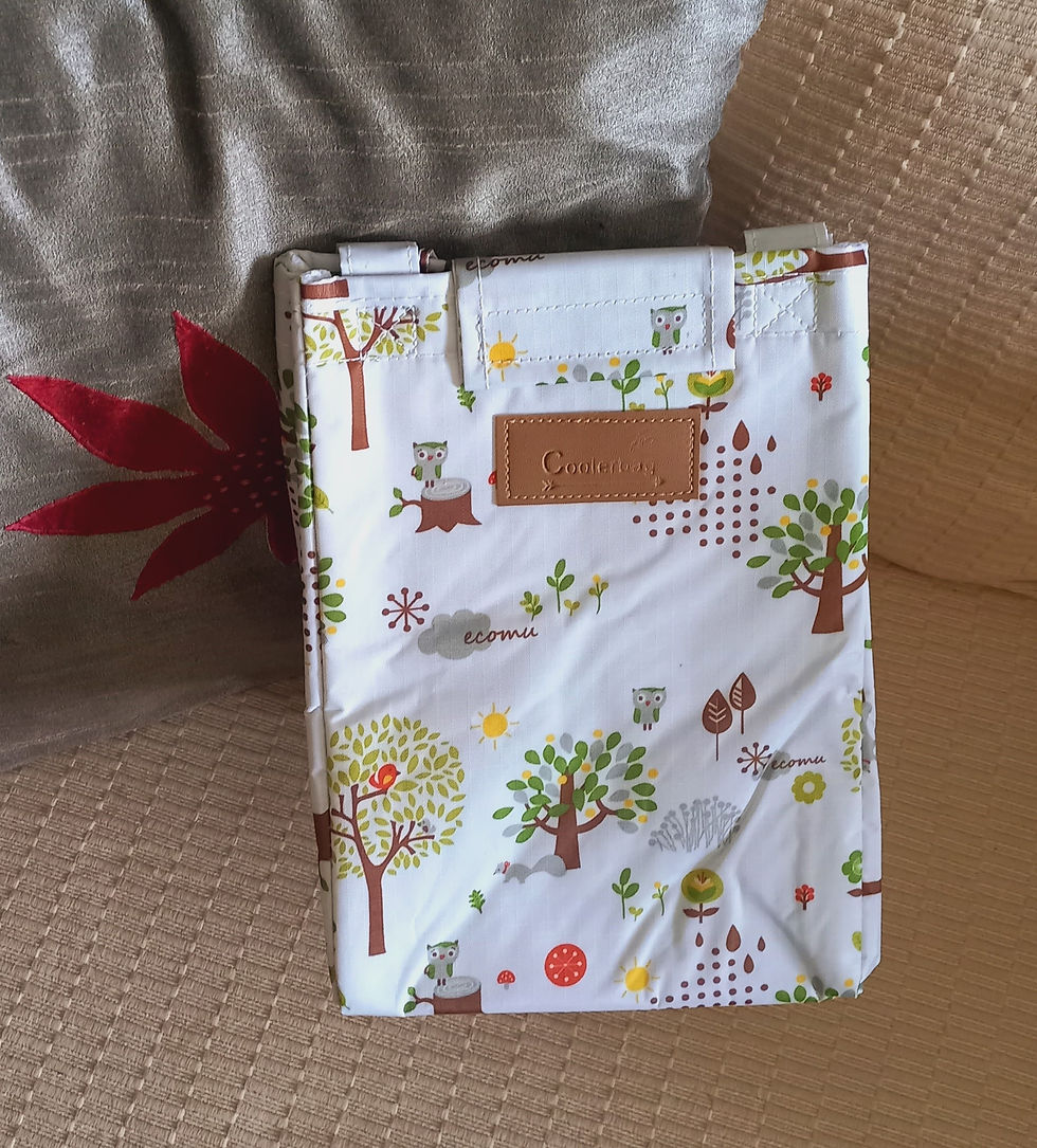 Carry-Along Insulated Lunch Bag