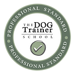 PROFESSIONAL STANDARD (1).png