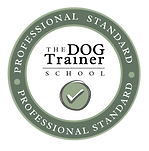 PROFESSIONAL STANDARD (1).png