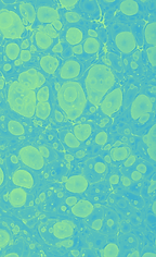 duotone - 2020-12-04T161751.054.png