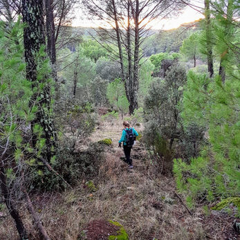 SENDERISMO - RUTAS fáciles
