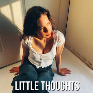 The Little Thoughts Podcast 
