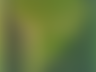 Face Photo Post - Brasil