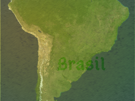 Face Photo Post - Brasil