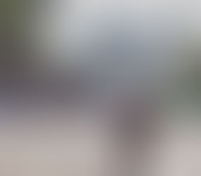 amazon.com/author/alexocamaratte