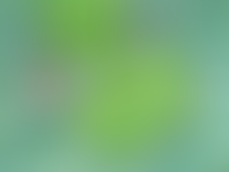 Face Photo Post - O Homem da Arte I