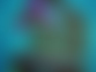 amazon.com/author/alexocamaratte