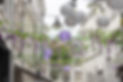 Interieur&design DB-2.jpg