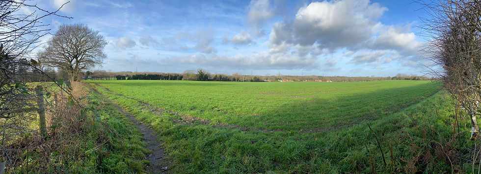 Views - Tasburgh.jpeg