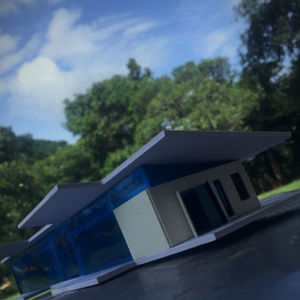 Proposed Forest Country Home